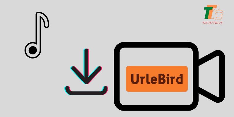 Urlebird: A Guide to Downloading TikTok Videos